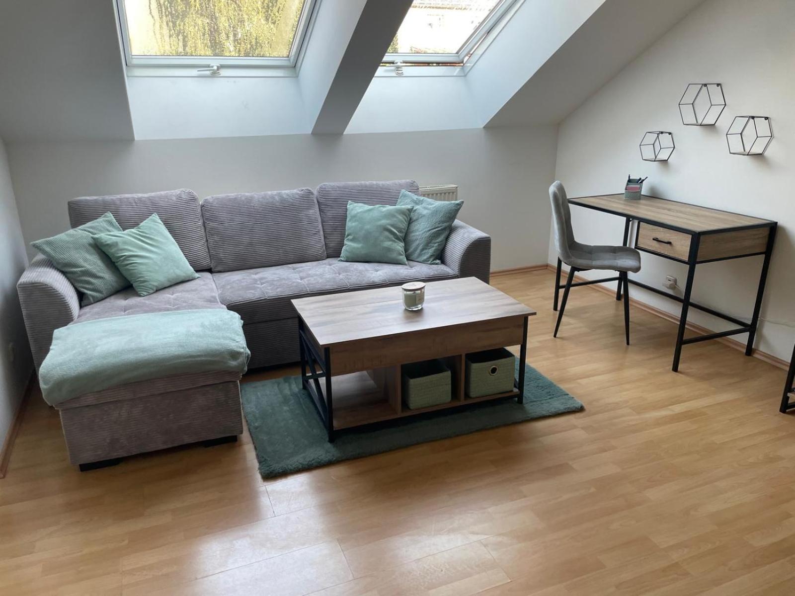 Schoene Wohnung Mit Parkplatz Im Zentrum Von Linz Exterior photo